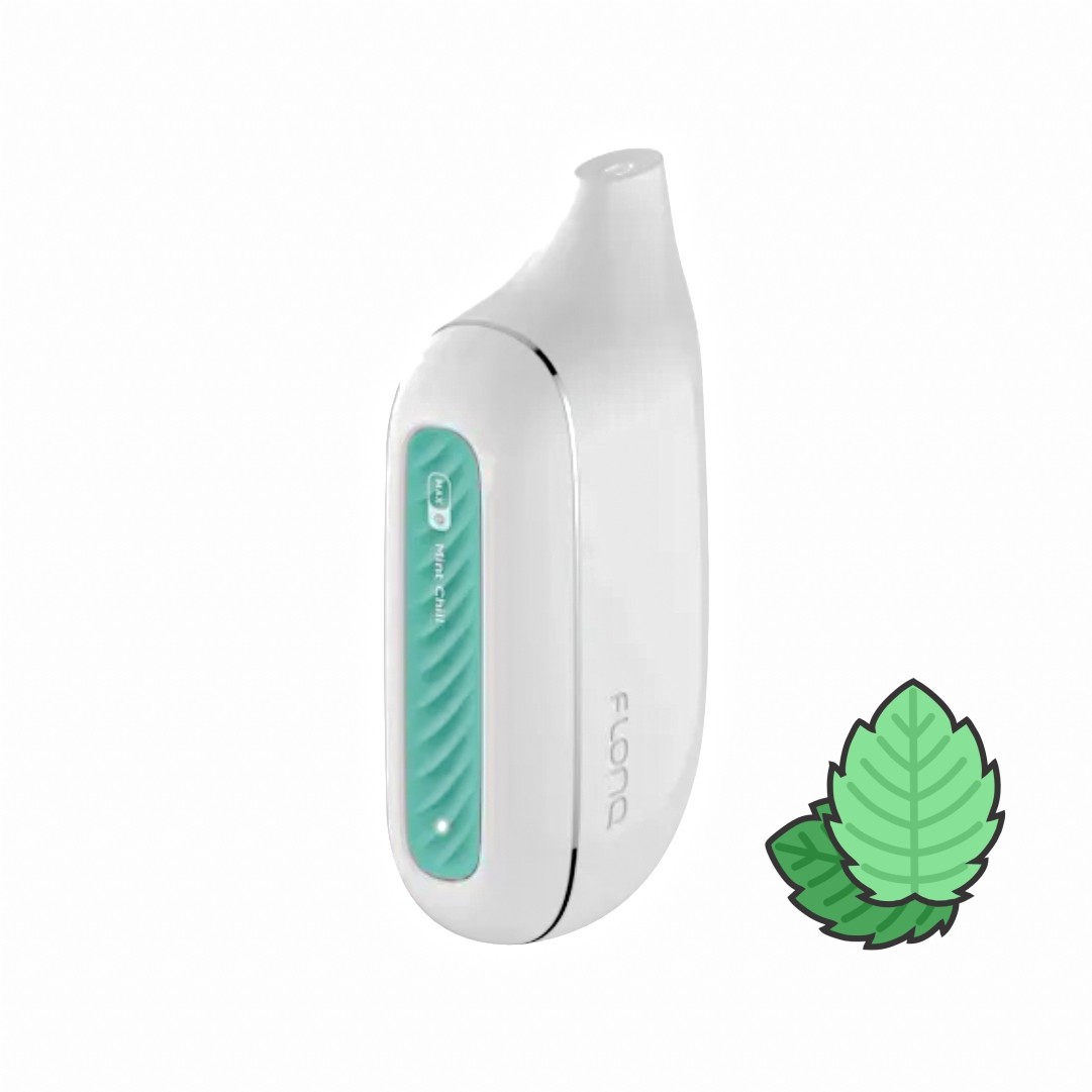 Flonq MAX E Mint Chill №8
